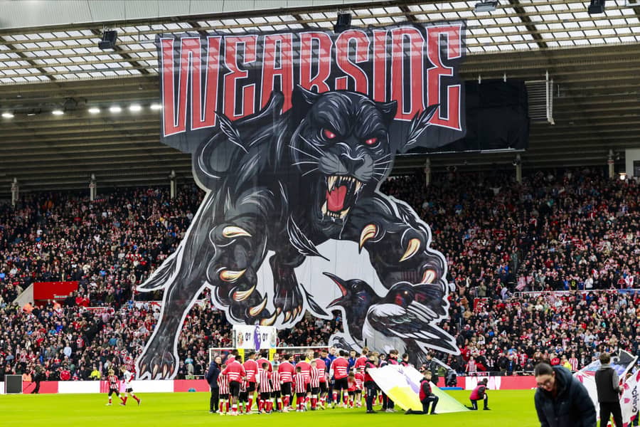 Koreografija navijača Sanderlenda: crna mačka napada svraku (Guliver/xStephenxDobsonx) sunderland; wearside