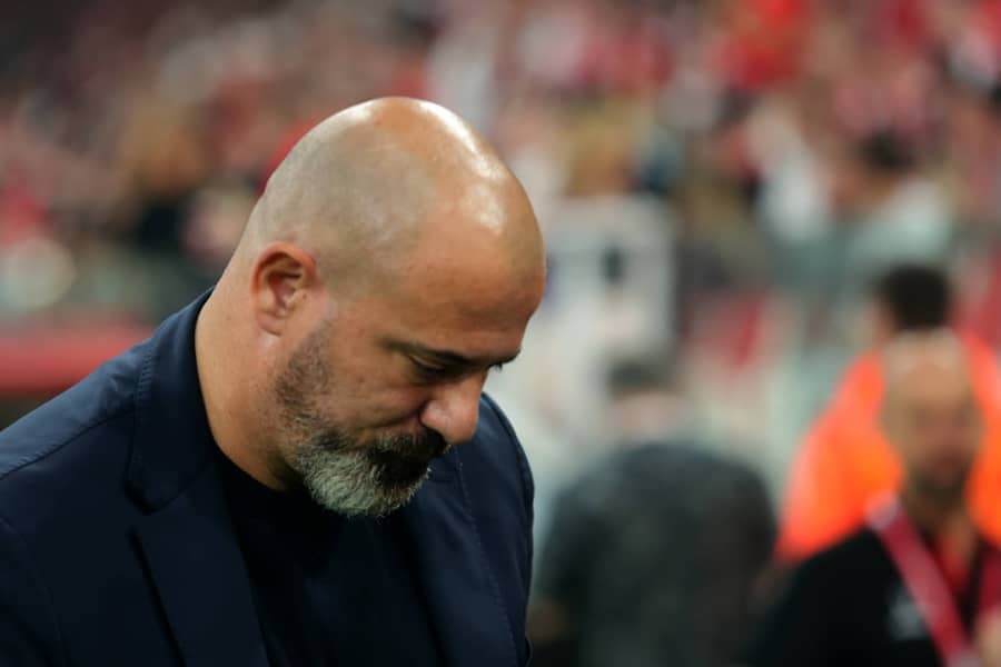 Dejan Stanković (Guliver) dejan stankovic