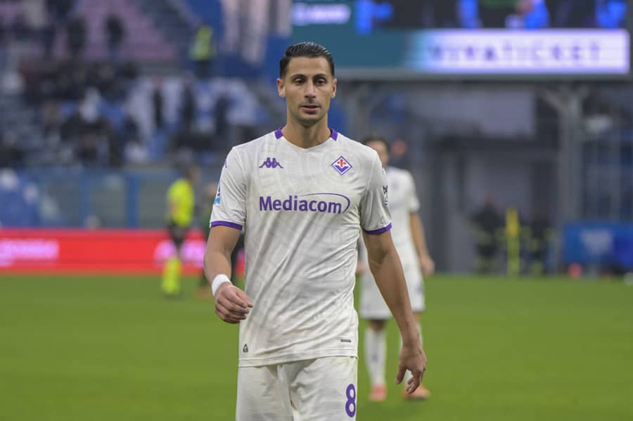 mandragora; fiorentina