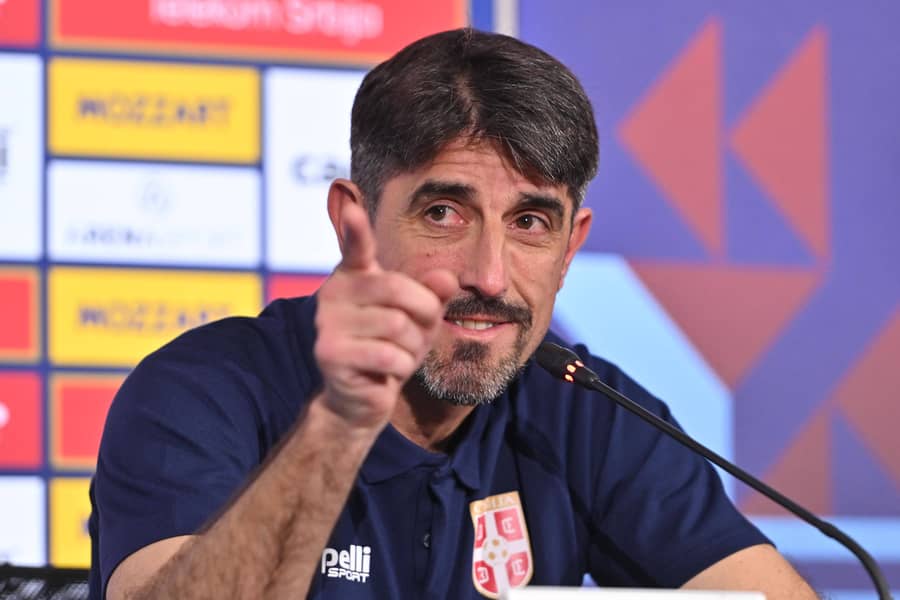 Veljko Paunović, fudbalska reprezentacija Srbije