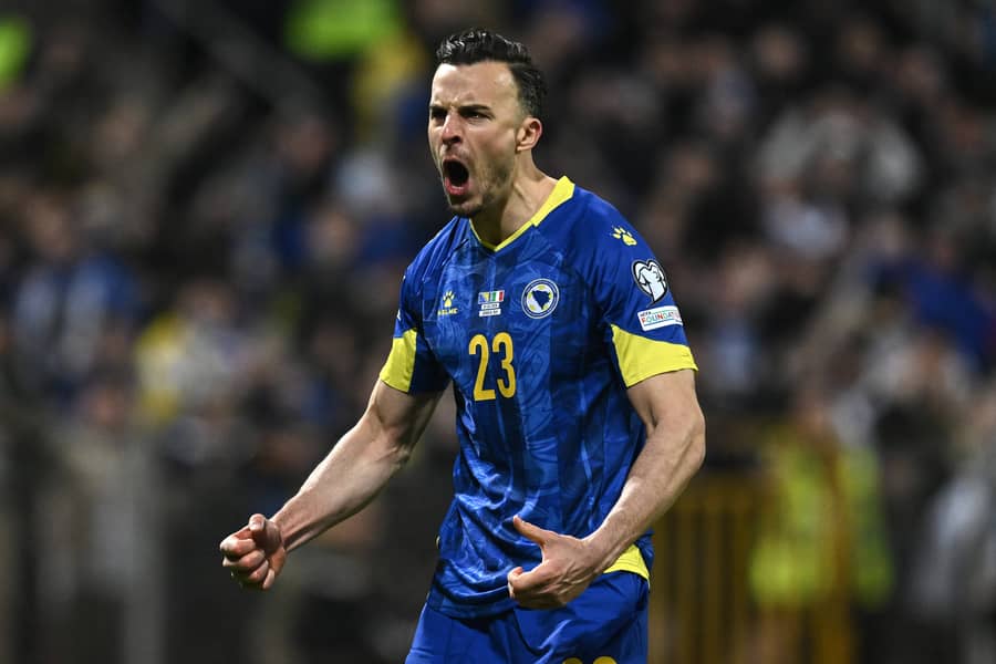 Haris Tabaković, fudbalska reprezentacija Bosne i Hercegovine, Svetsko prvenstvo