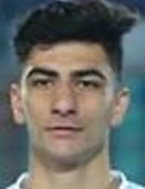 Amirmohammad Razzaghinia